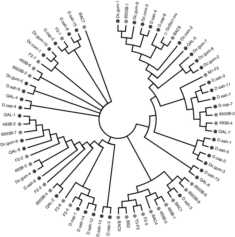 Fig. 2