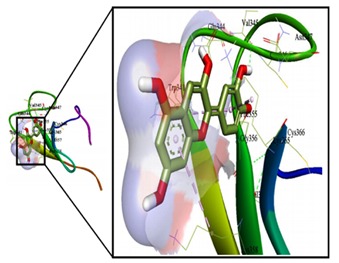 Figure 5