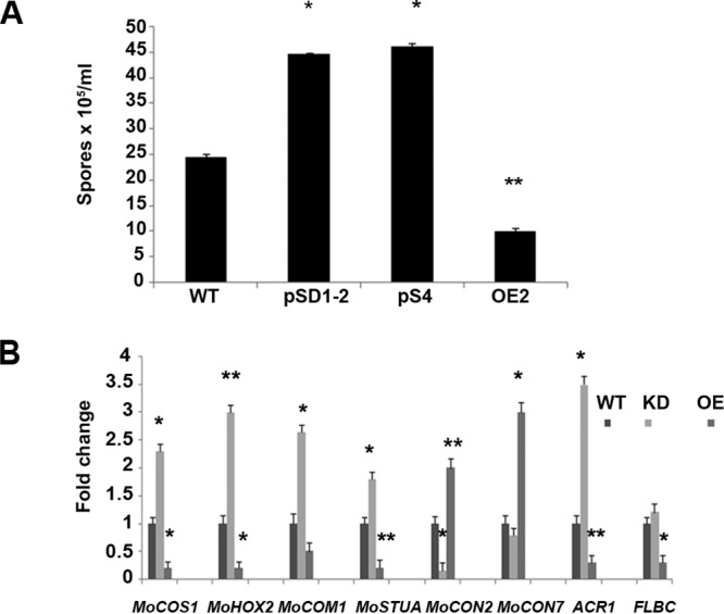 FIG 3