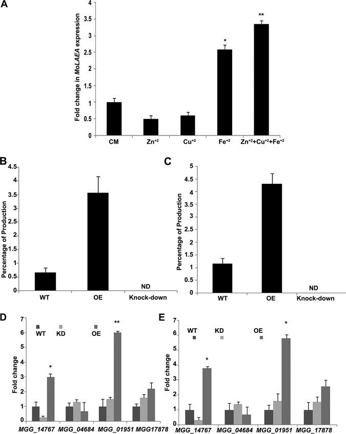 FIG 10