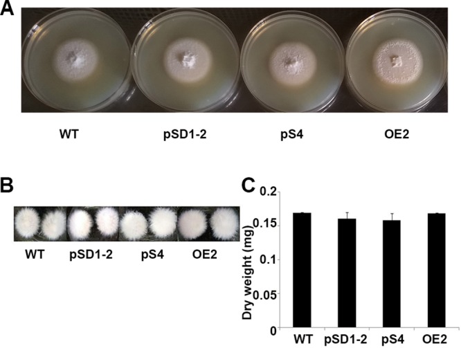 FIG 1