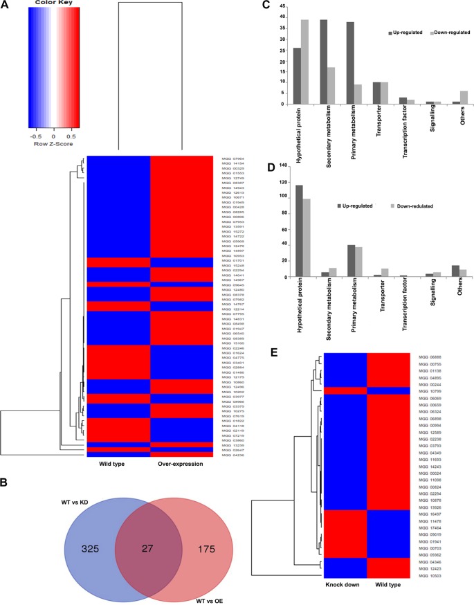 FIG 11