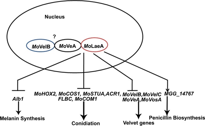 FIG 12