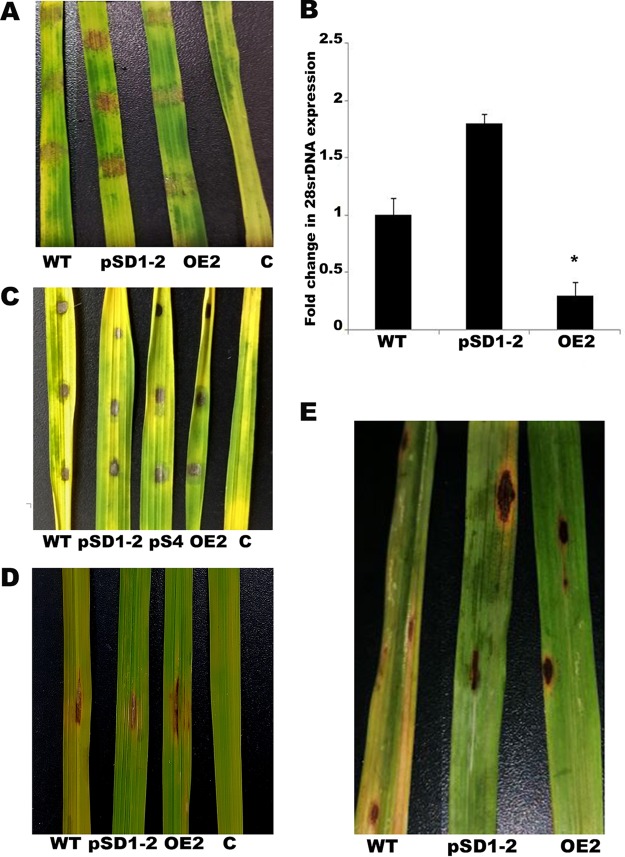 FIG 4