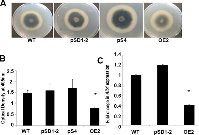 FIG 2