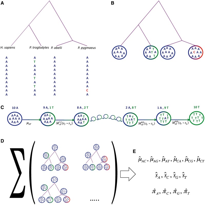 Fig. 1.