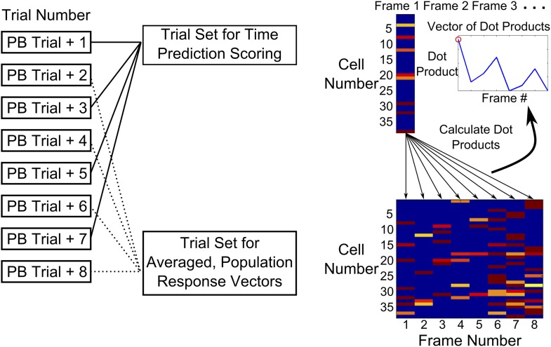 Figure 3—figure supplement 2.