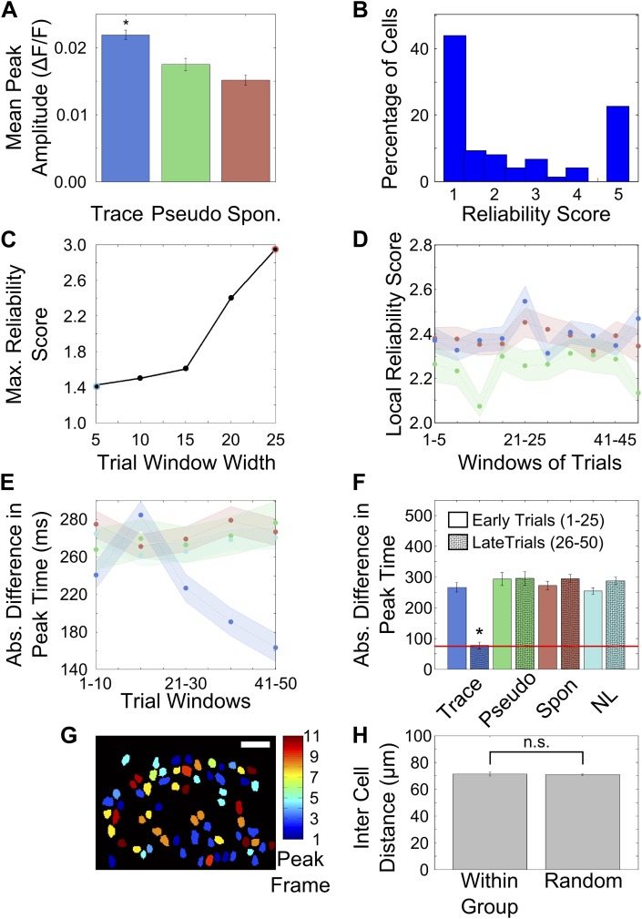 Figure 3—figure supplement 1.