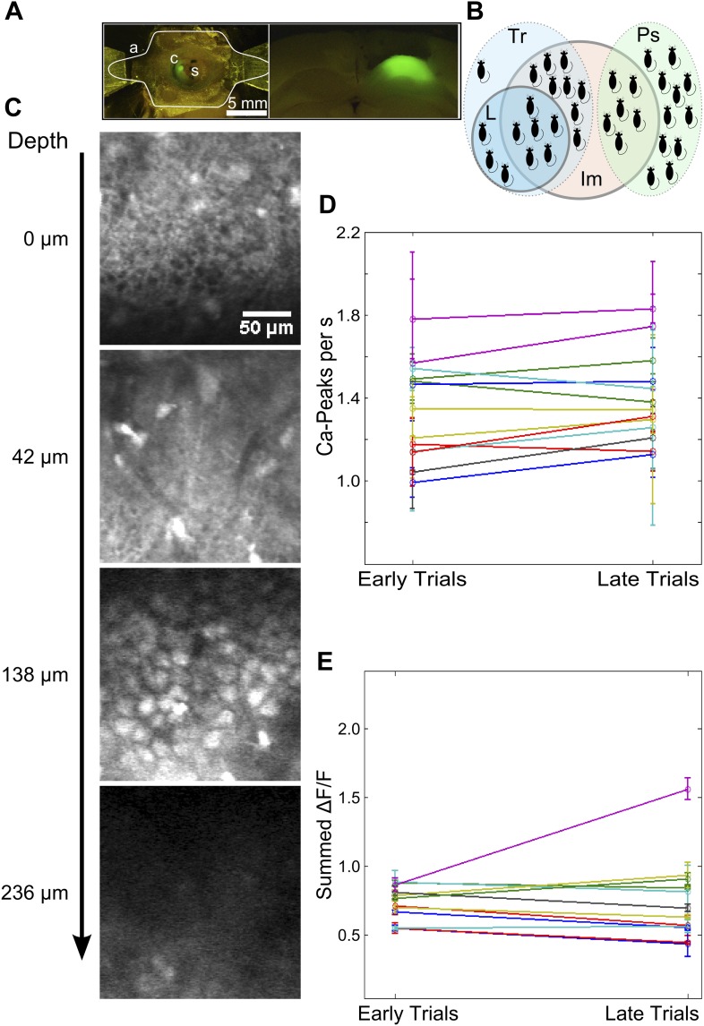 Figure 2—figure supplement 1.