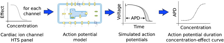 Fig. 2