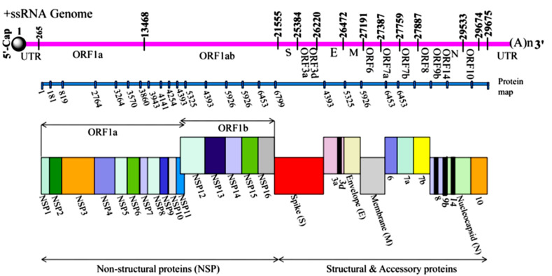 FigQ5: Two versions of caption have been provided for Fig. [2,3]. Please confirm that we have used the correct one.. 2