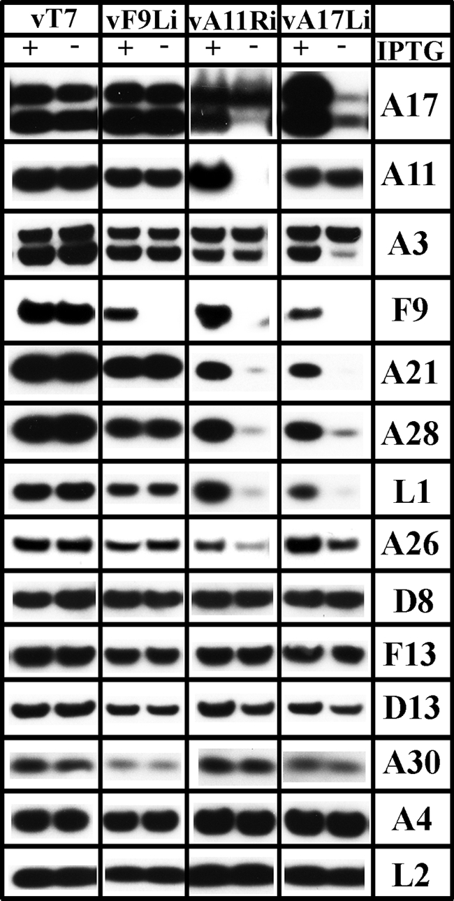 Fig. 10.