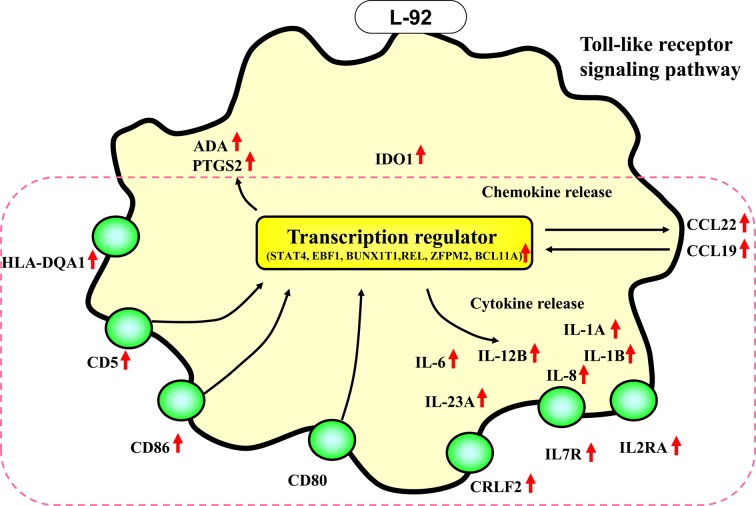 Fig. 3.