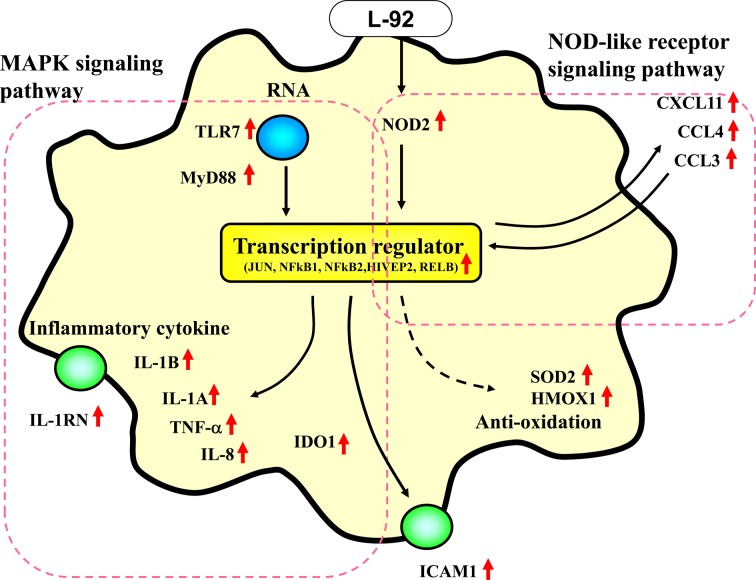 Fig. 2.