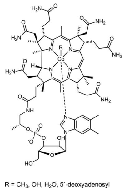 FIG. 20