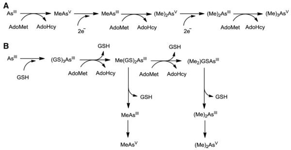 FIG. 15