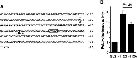 Figure  4