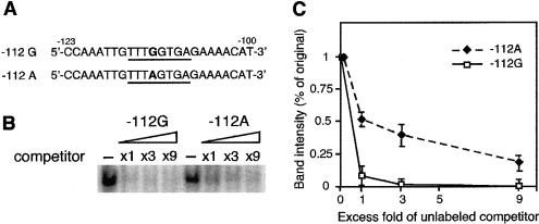 Figure  5