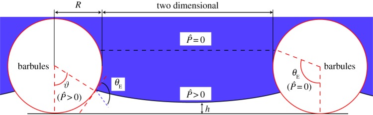 Figure 4.