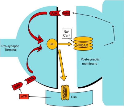 Fig. (3)