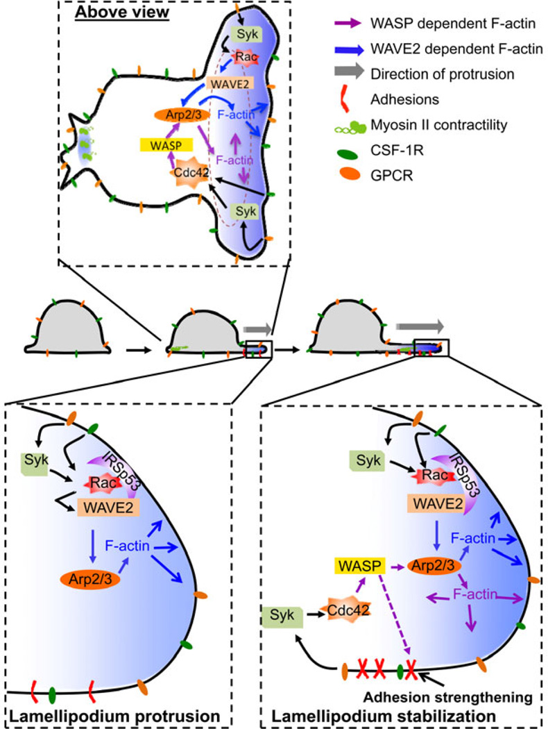 Fig. 4