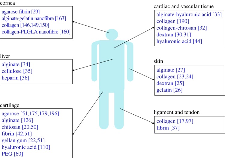 Figure 1.