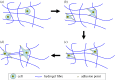 Figure 4.