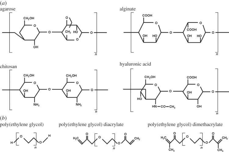 Figure 2.