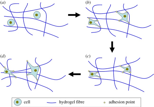 Figure 4.