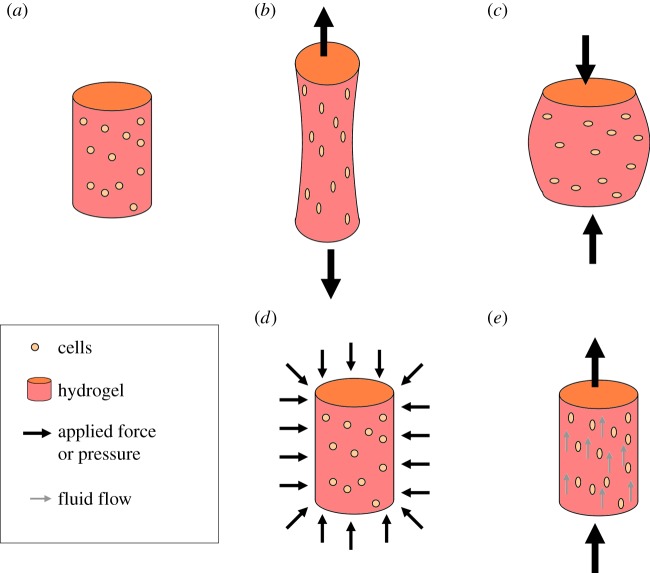 Figure 5.