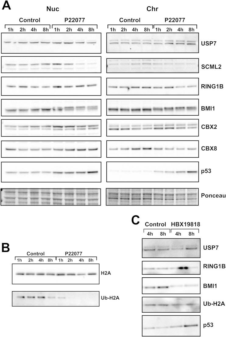 FIG 6