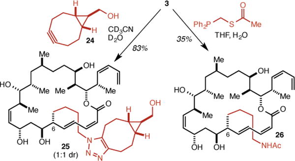 Scheme 3