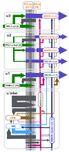 Figure 10.