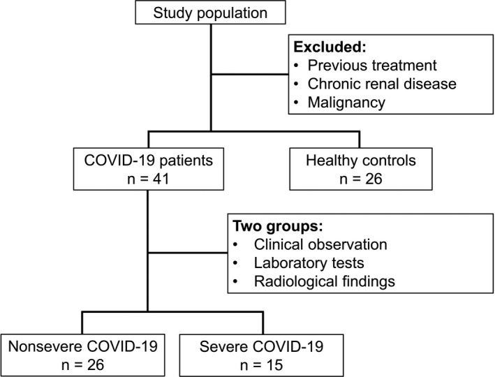 FIGURE 1