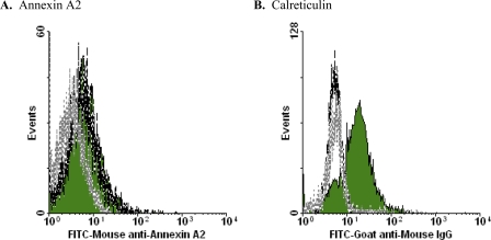 FIGURE 10.