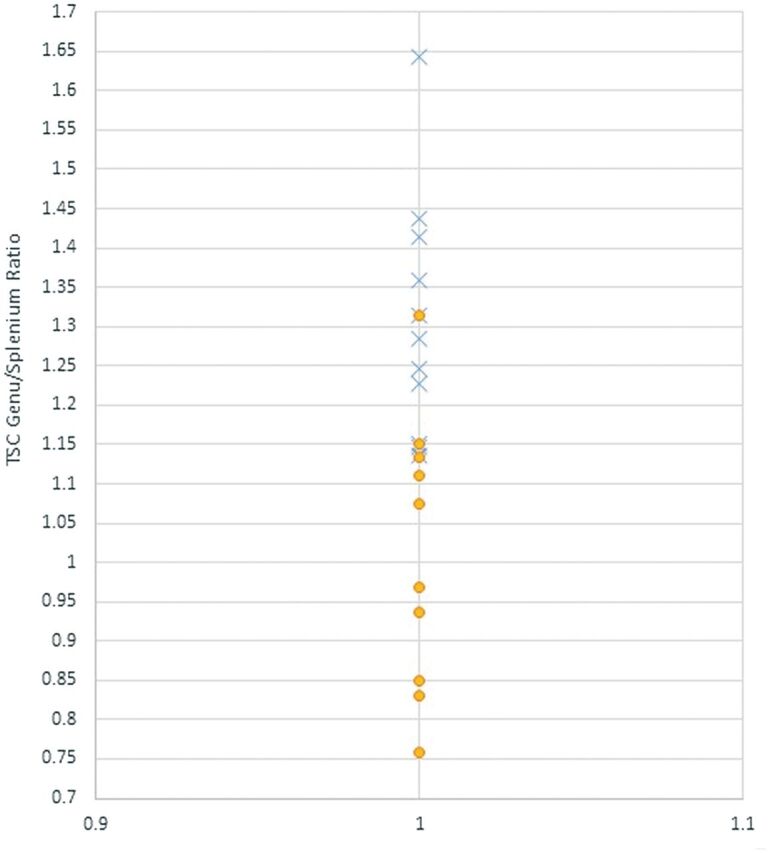 Fig 5.