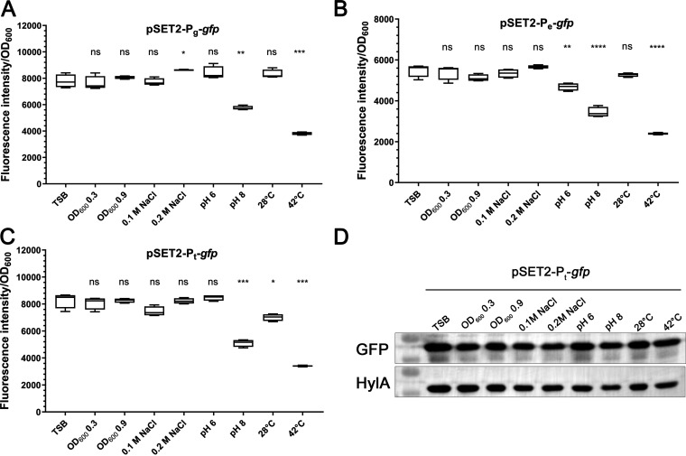 FIG 1