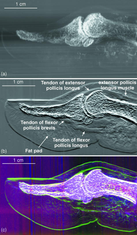 Fig. 7