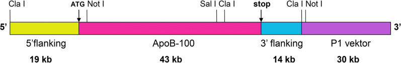 Fig. (1)