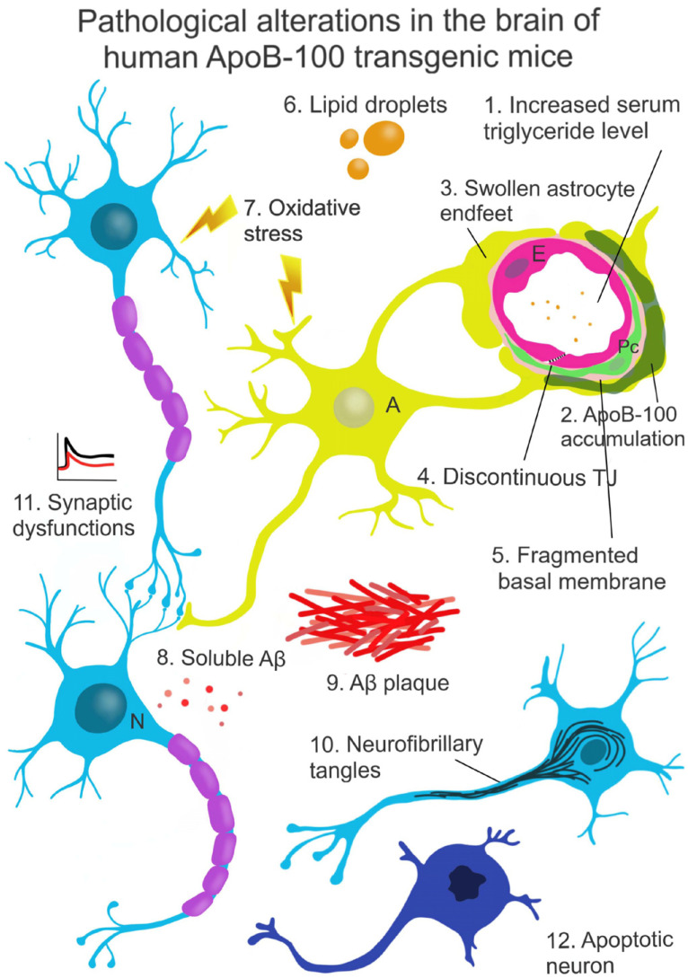 Fig. (2)