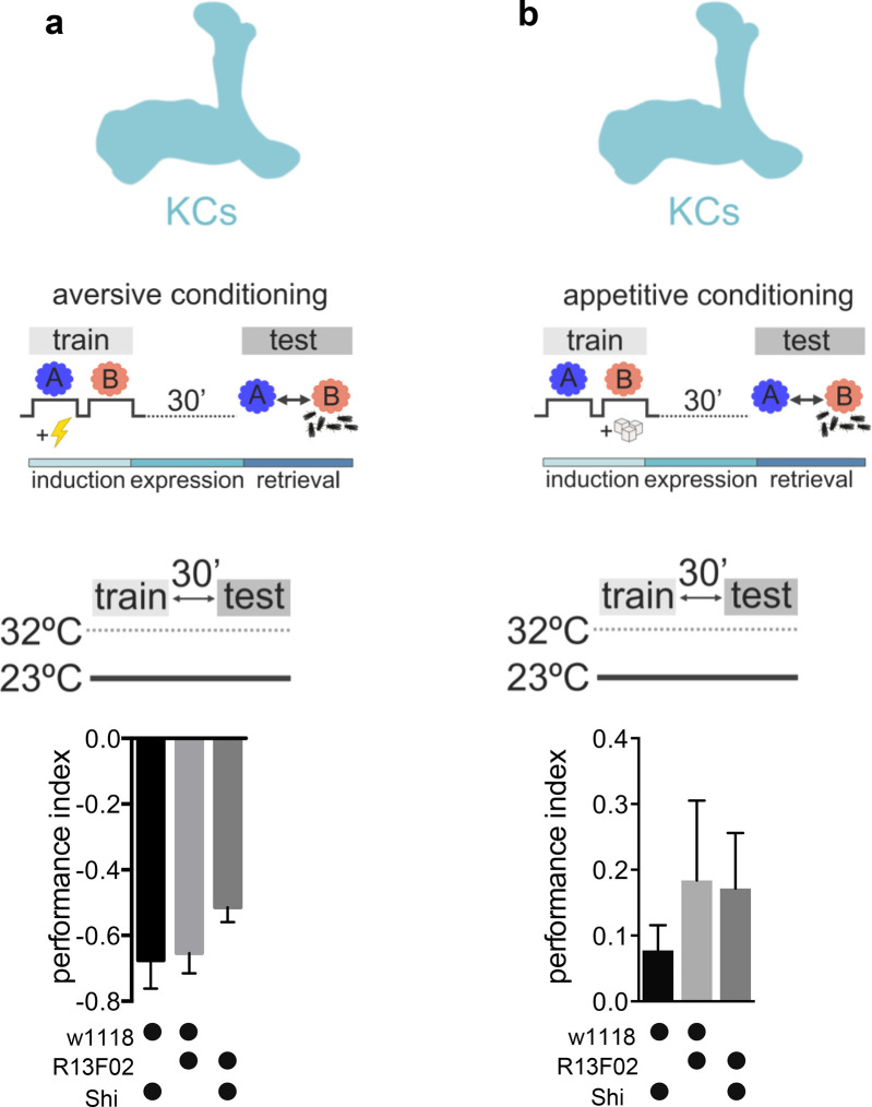 Figure 1—figure supplement 1.