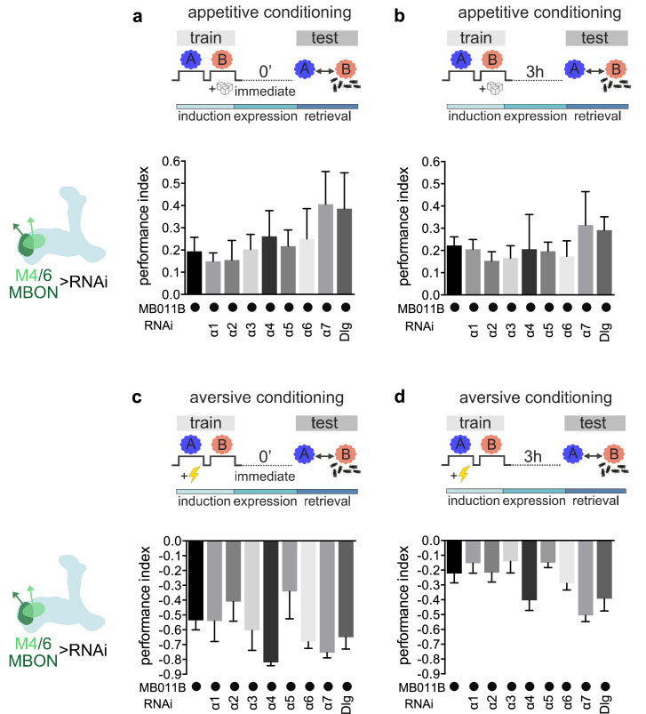 Figure 2—figure supplement 1.