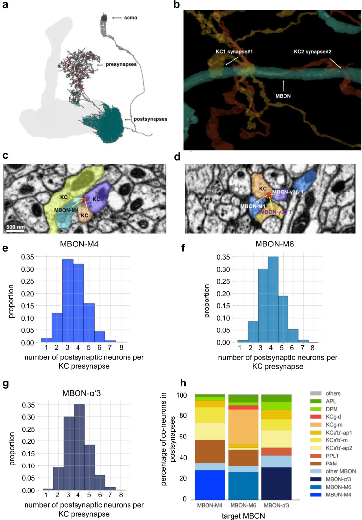 Figure 10.