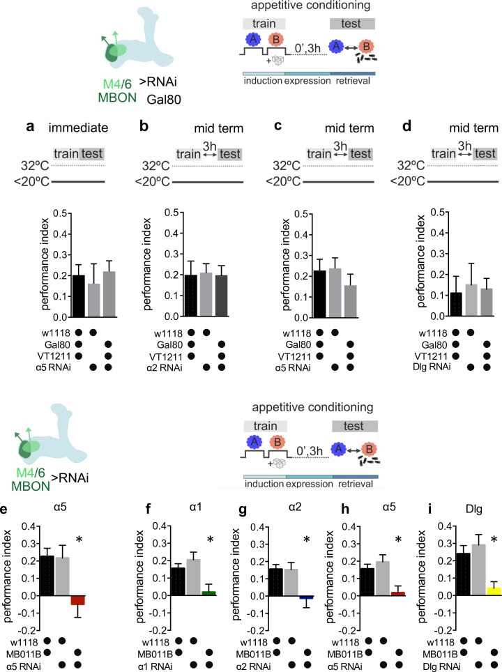 Figure 2—figure supplement 2.