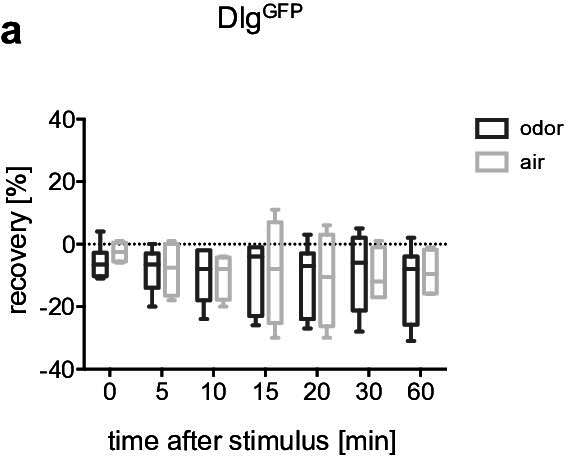 Figure 7—figure supplement 1.