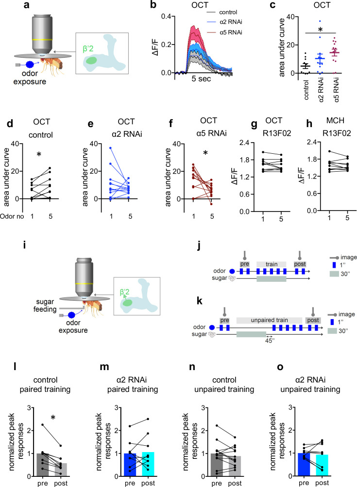 Figure 5—figure supplement 1.