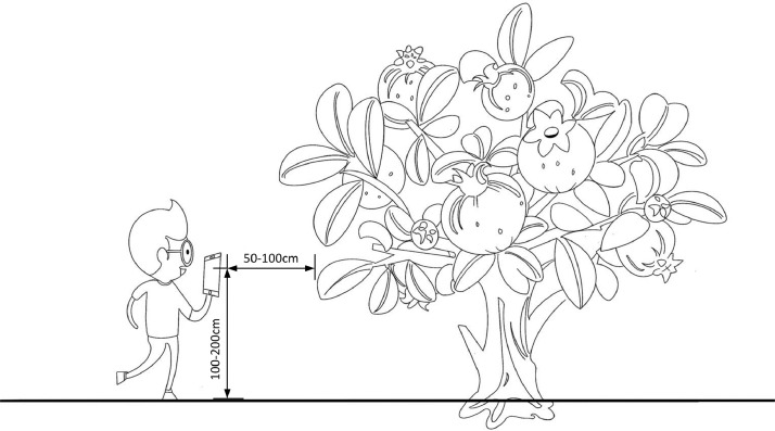 Fig 7