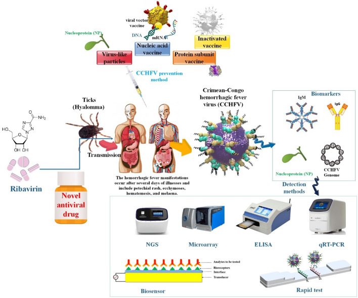 graphic file with name 12575_2024_244_Figa_HTML.jpg