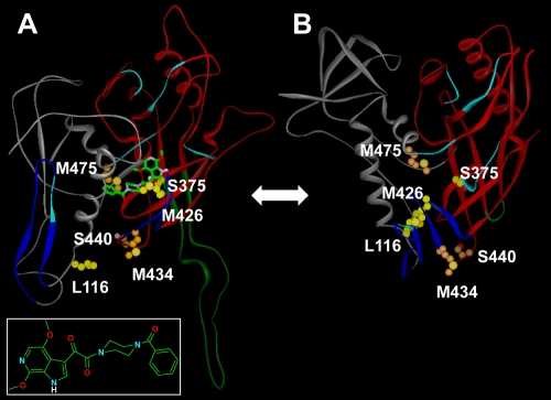 FIG. 3.