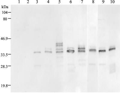 FIG. 7.